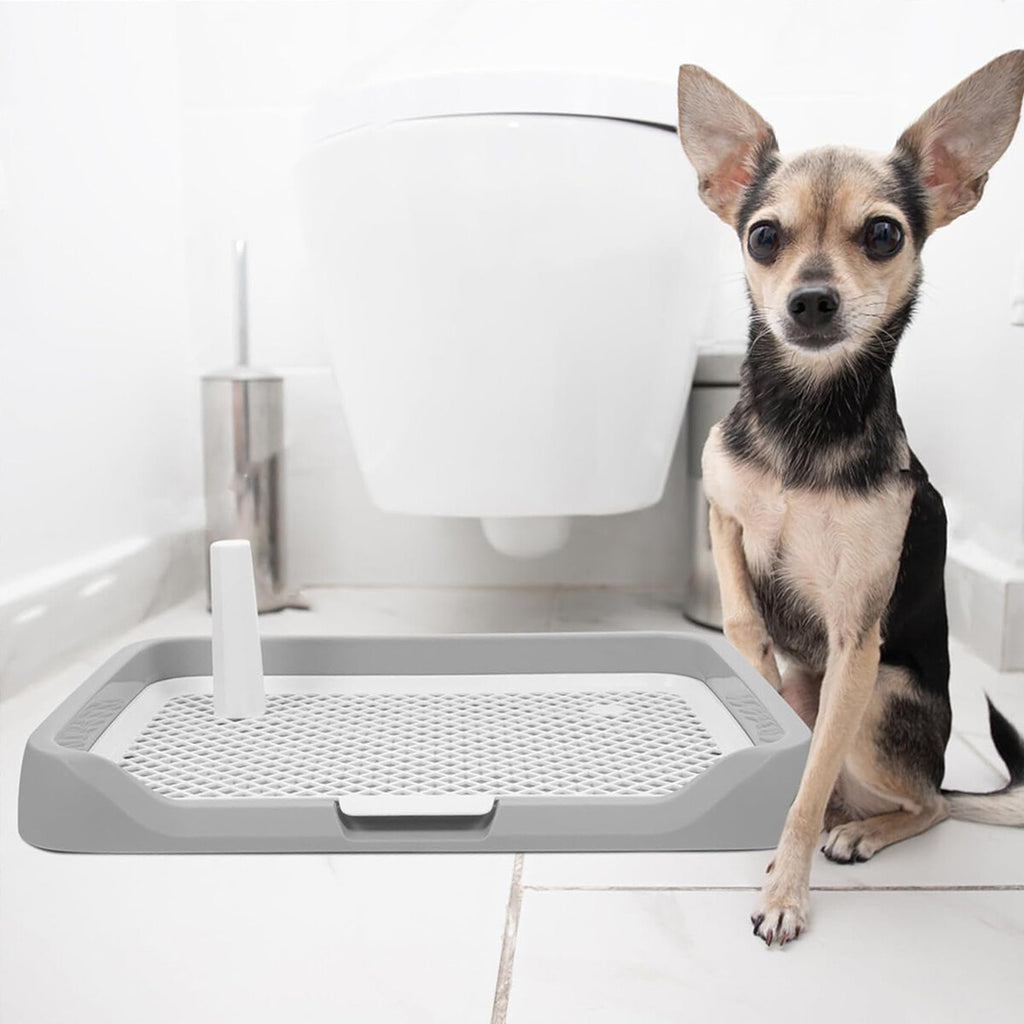 Indoor Dog Potty Trainer Pad Tray - Small Puppy Toilet Pee Tray with Grille