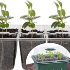 20 Sets 12-Cell Seed Starter Tray Kit with Plant Labels | Seedling Propagation Grow Box