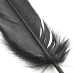 200pcs Natural Goose Feathers 6-12cm – Craft, Millinery, Wedding & DIY Decoration (11 Colours)