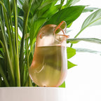 Bird Plant Waterer Watering Bulb Stake Garden Flower Pot Irrigation Accessory