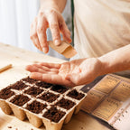 2 Sets Seed Storage Organizer with Kraft Paper Envelopes – Garden Seed Packet Binder and Storage Bags