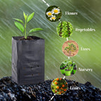 300PCS Plant Grow Bags with Breathable Holes - PE Seedling Nursery Bags in 3 Sizes