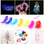 200pcs Natural Goose Feathers 6-12cm – Craft, Millinery, Wedding & DIY Decoration (11 Colours)