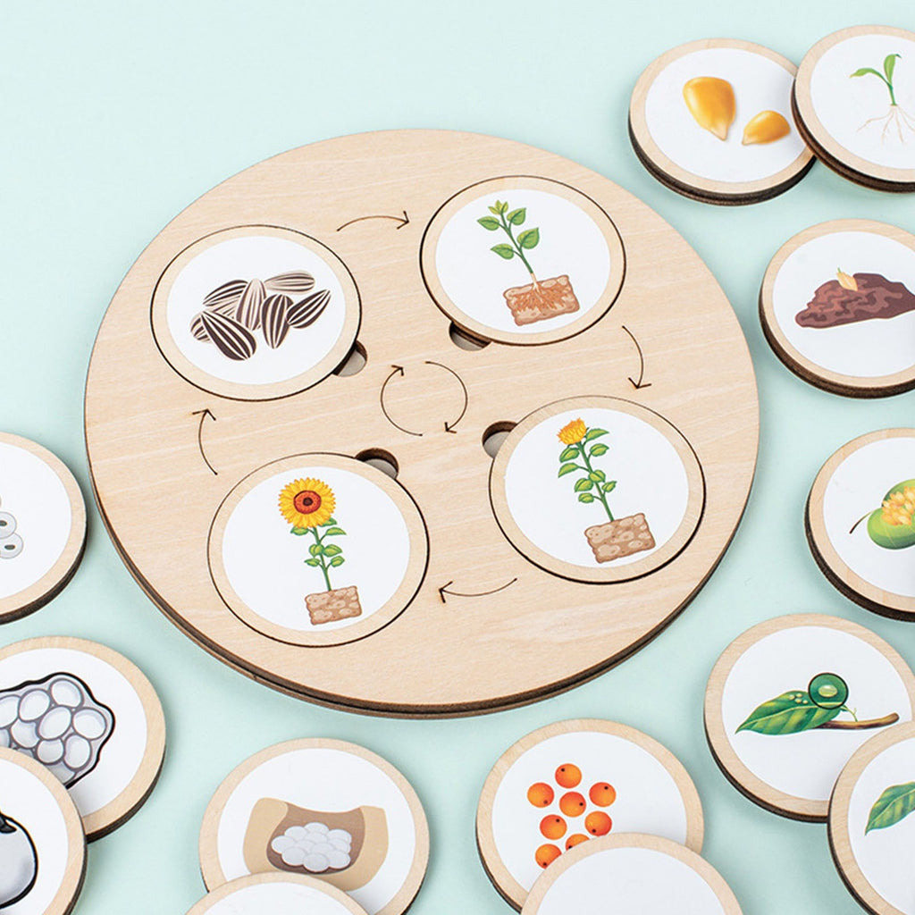 Wooden Montessori Life Cycle Puzzle Board Toddler Learning Educational Toy