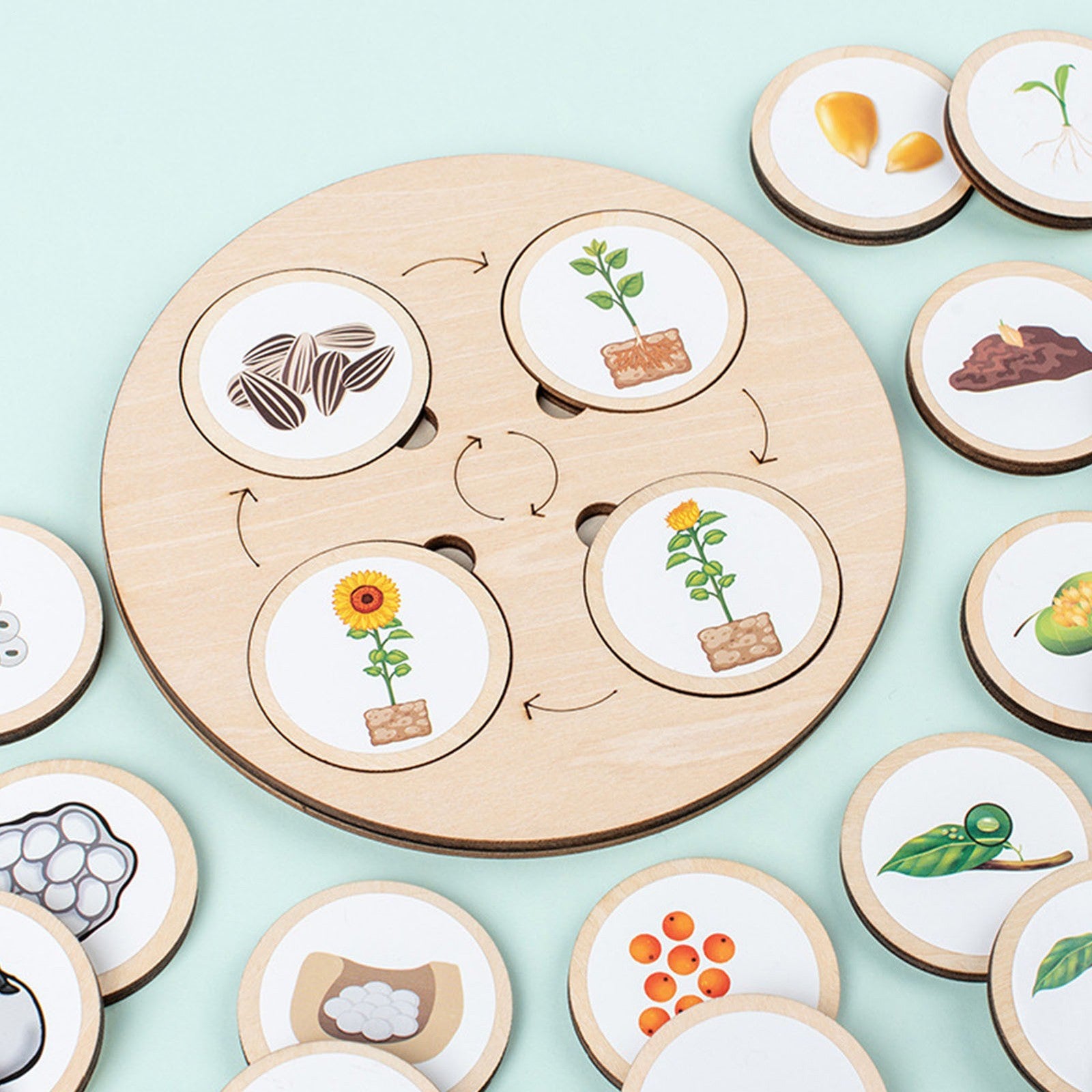 Wooden Montessori Life Cycle Puzzle Board Toddler Learning Educational Toy