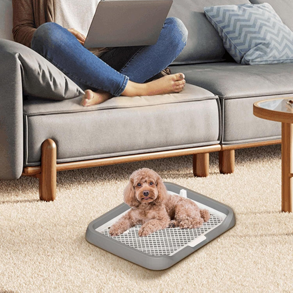 Indoor Dog Potty Trainer Pad Tray - Small Puppy Toilet Pee Tray with Grille
