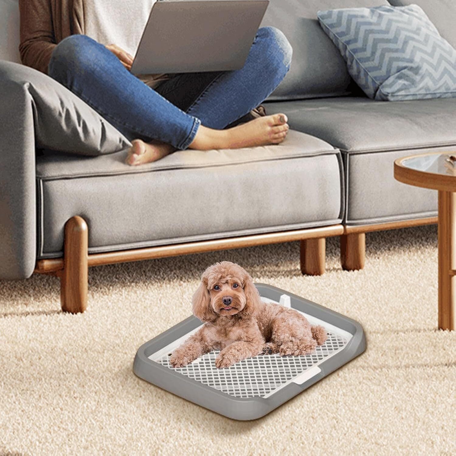 Indoor Dog Potty Trainer Pad Tray - Small Puppy Toilet Pee Tray with Grille