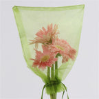 50PCS Vegetable Garden Fruit Protection Net Bags - Mesh Insect Proof Organza Bags 20x30cm