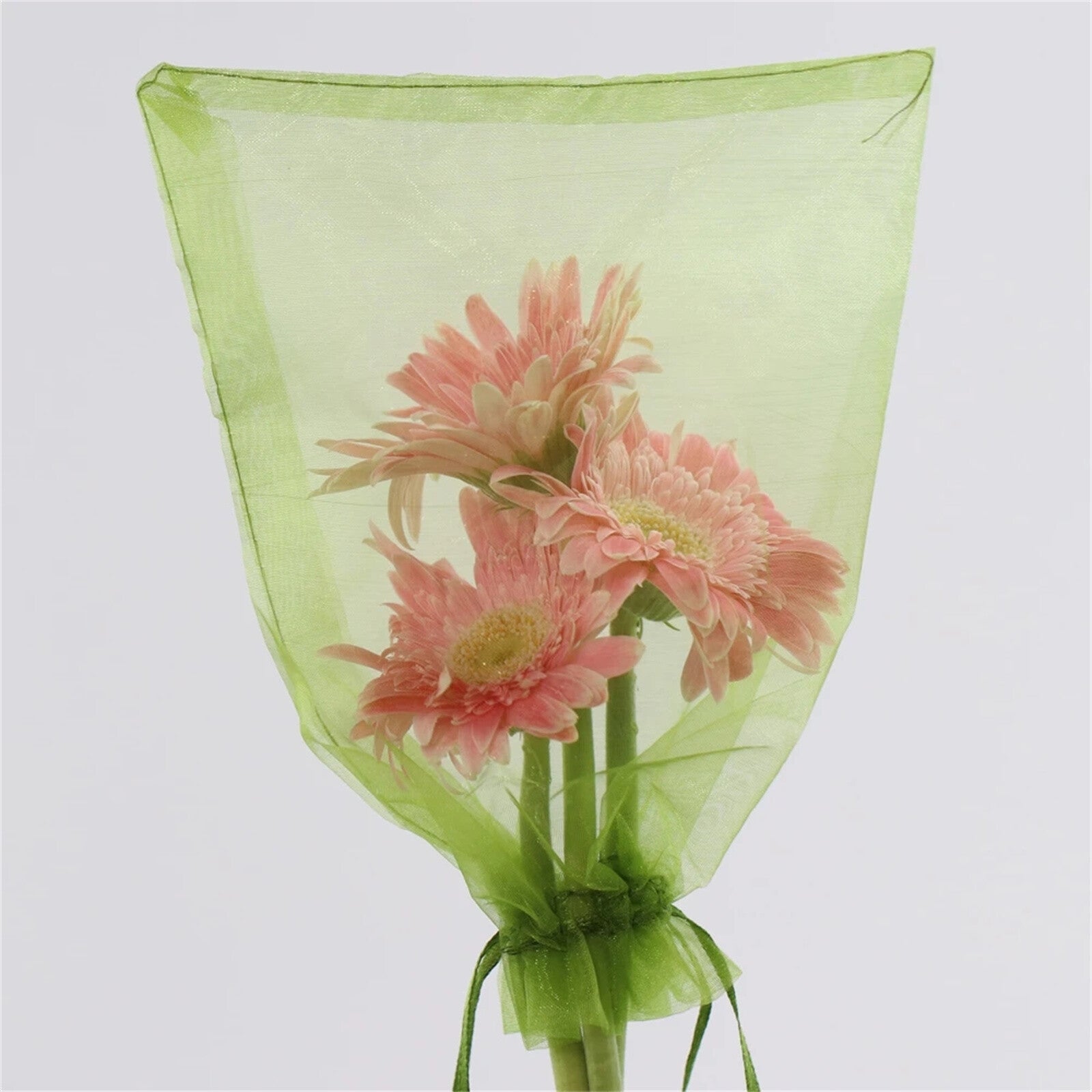50PCS Vegetable Garden Fruit Protection Net Bags - Mesh Insect Proof Organza Bags 20x30cm