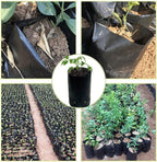 300PCS Plant Grow Bags with Breathable Holes - PE Seedling Nursery Bags in 3 Sizes