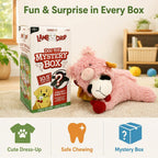 Pink lamb plush dog toy beside its mystery box in a living room