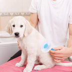 Pet Grooming Brush Self-Cleaning | Dog Cat Deshedding Comb Fur Remover Tool