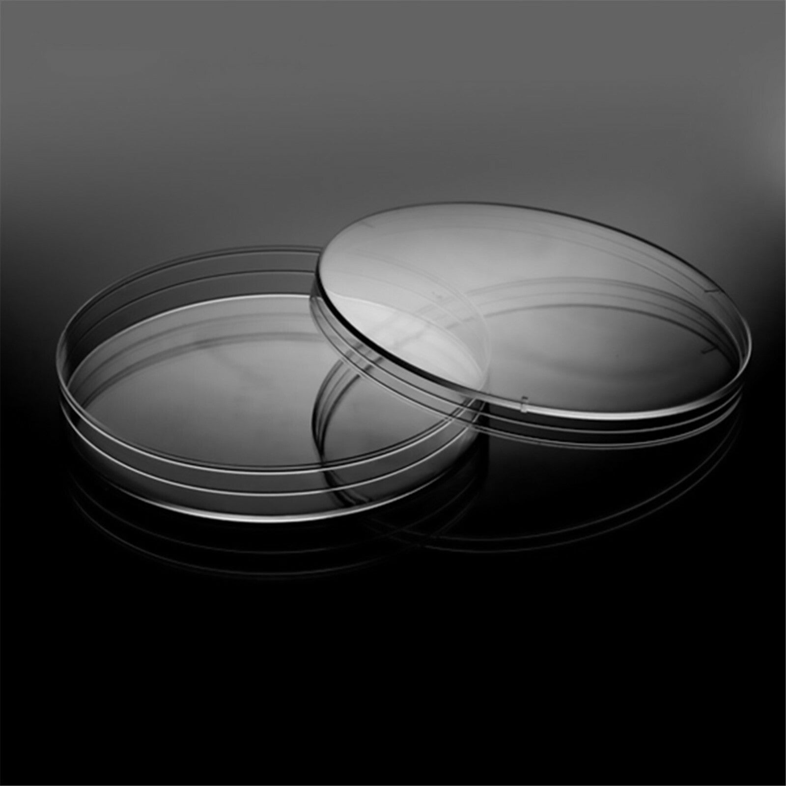 20pcs Plastic Petri Dishes with Lids 90mm x 15mm | Pre-Sterile Lab Culture Plates