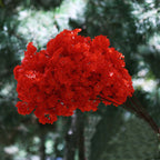 Artificial Cherry Blossom Flower Branch 95cm Silk Wedding Party Home Decoration