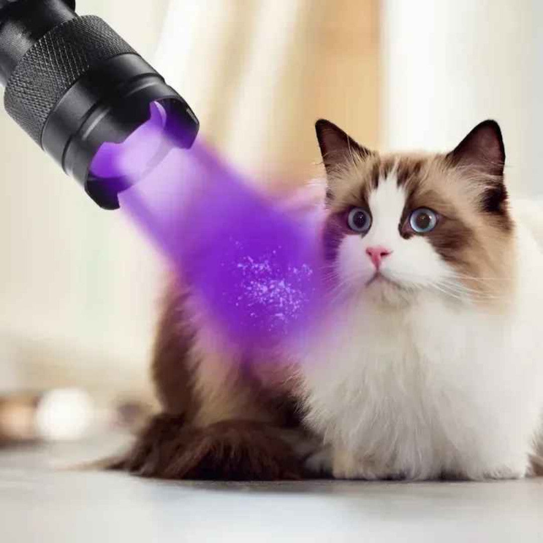 UV LED Blacklight Flashlight 395nm Portable Inspection Torch – Currency & Pet Stain Detector