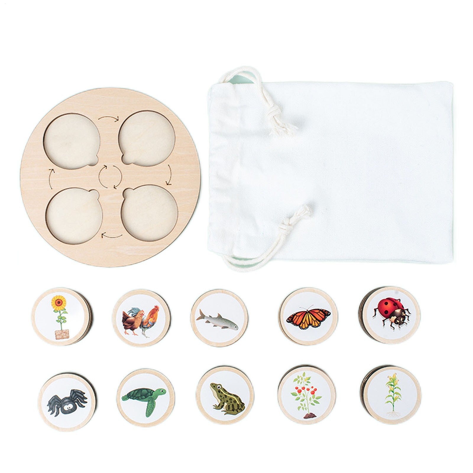 Wooden Montessori Life Cycle Puzzle Board Toddler Learning Educational Toy