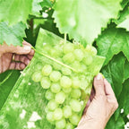 50PCS Vegetable Garden Fruit Protection Net Bags - Mesh Insect Proof Organza Bags 20x30cm