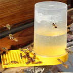 Bees drinking from the entrance feeder