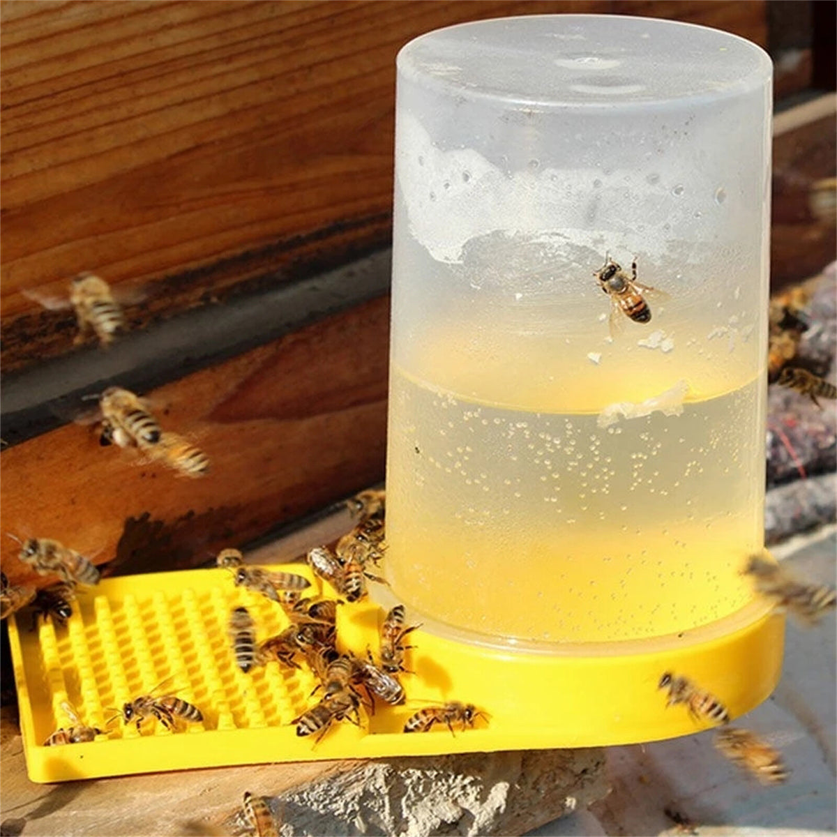 Bees drinking from the entrance feeder
