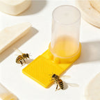 Bees on the feeder tray