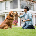 Ultrasonic Dog Bark Control Device Anti Bark Trainer Repeller Portable Training Tool