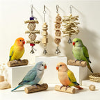 34 piece bird toy set laid out