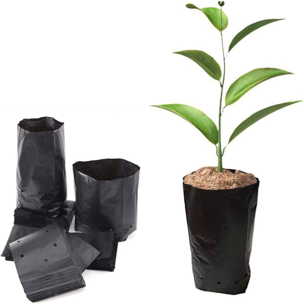 300PCS Plant Grow Bags with Breathable Holes - PE Seedling Nursery Bags in 3 Sizes