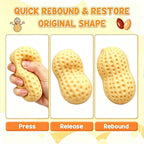 Peanut squishy squeezed and rebounding