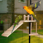 Bird Water Feeder and Bird Swing Toy Set - Wooden Parrot Perch Stand Cage Accessory