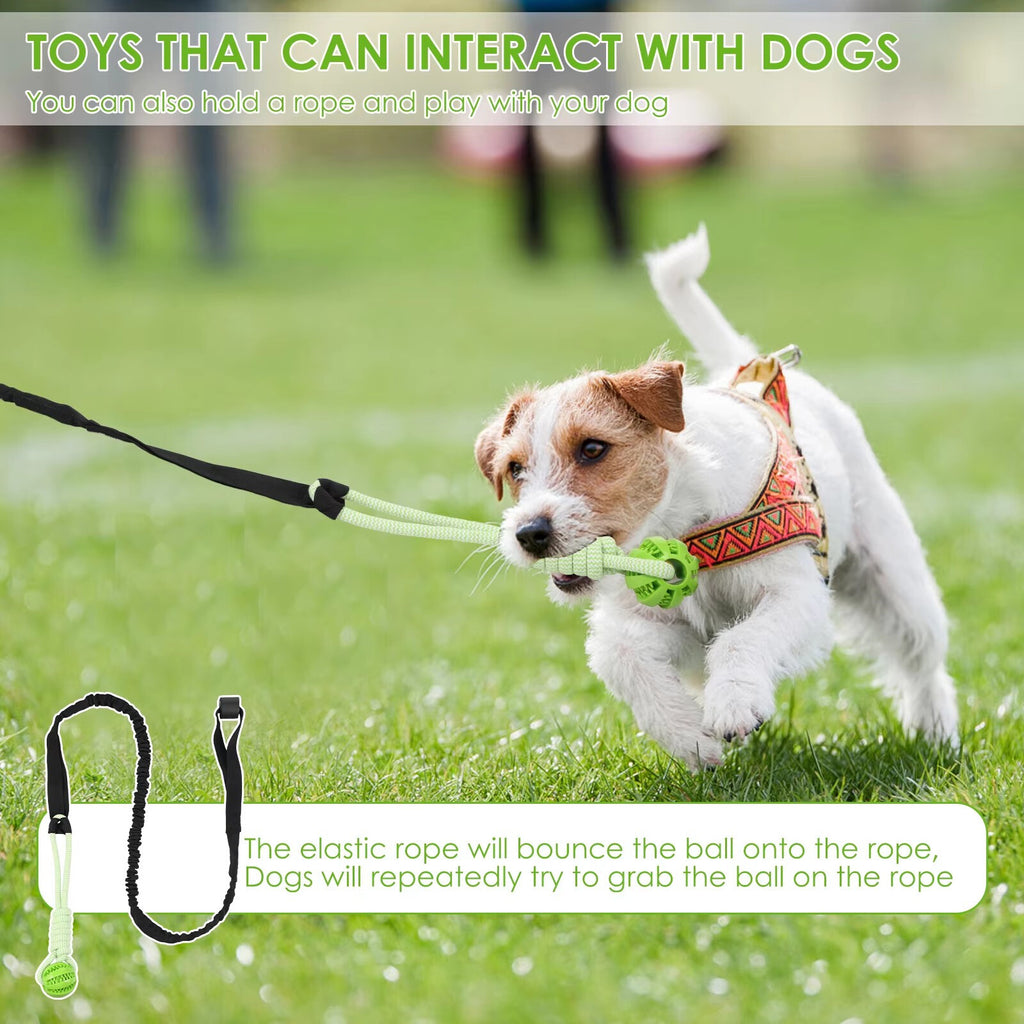 2 Set Interactive Dog Tug Toy Rope – Hanging Bungee Pull Toy for Indoor and Outdoor Play