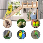 Wooden Bird Swing Toy for Parrots | Natural Hanging Perch Cage Playground