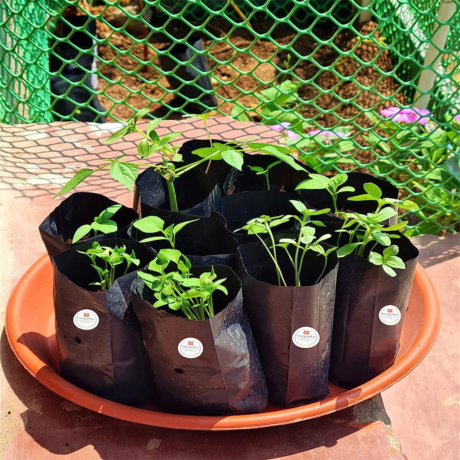 300PCS Plant Grow Bags with Breathable Holes - PE Seedling Nursery Bags in 3 Sizes