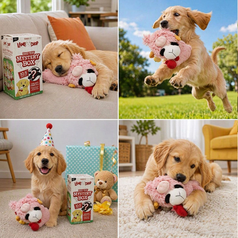 Golden retriever puppy playing with a pink lamb plush dog toy indoors and outdoors
