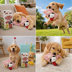Golden retriever puppy playing with a pink lamb plush dog toy indoors and outdoors