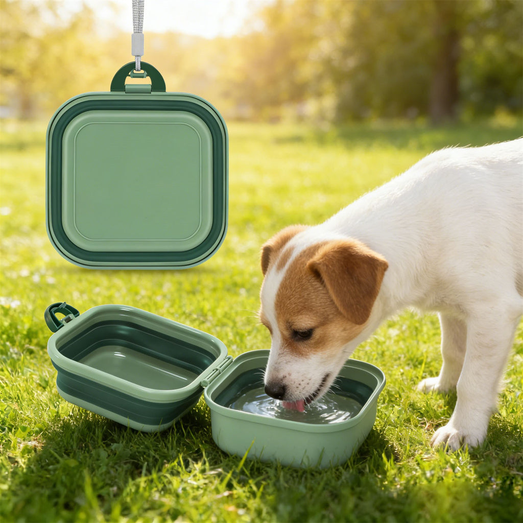 2pcs 2-in-1 Portable Pet Food & Water Bowl | Collapsible Travel Dog Cat Feeding Set
