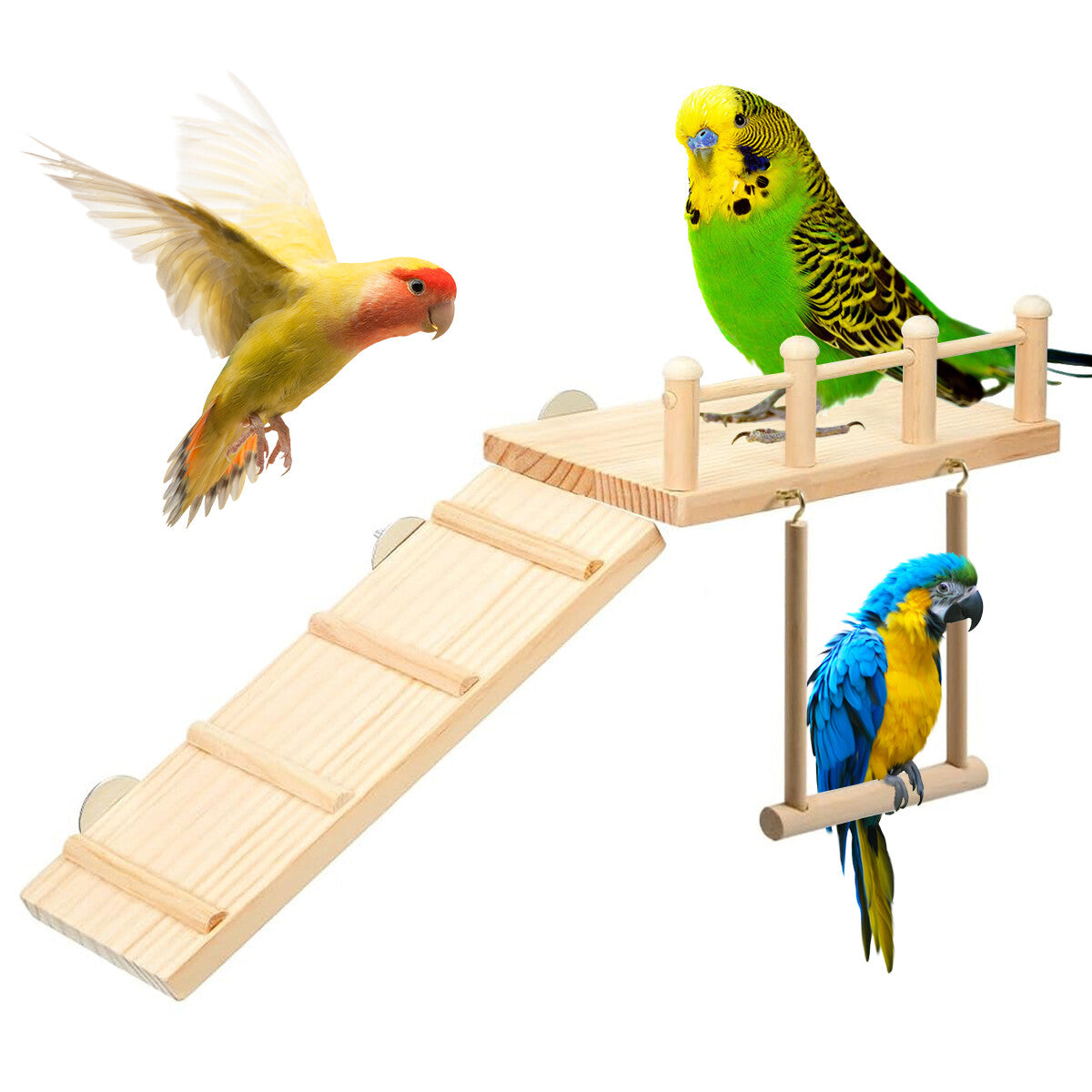 Bird Water Feeder and Bird Swing Toy Set - Wooden Parrot Perch Stand Cage Accessory