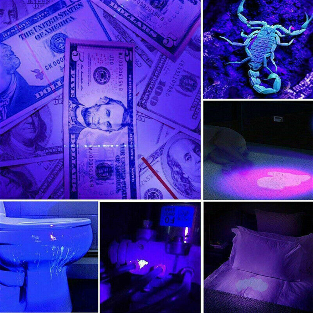 Portable UV Black Light Torch – LED Handheld Blacklight Money Detector