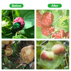 50PCS Vegetable Garden Fruit Protection Net Bags - Mesh Insect Proof Organza Bags 20x30cm