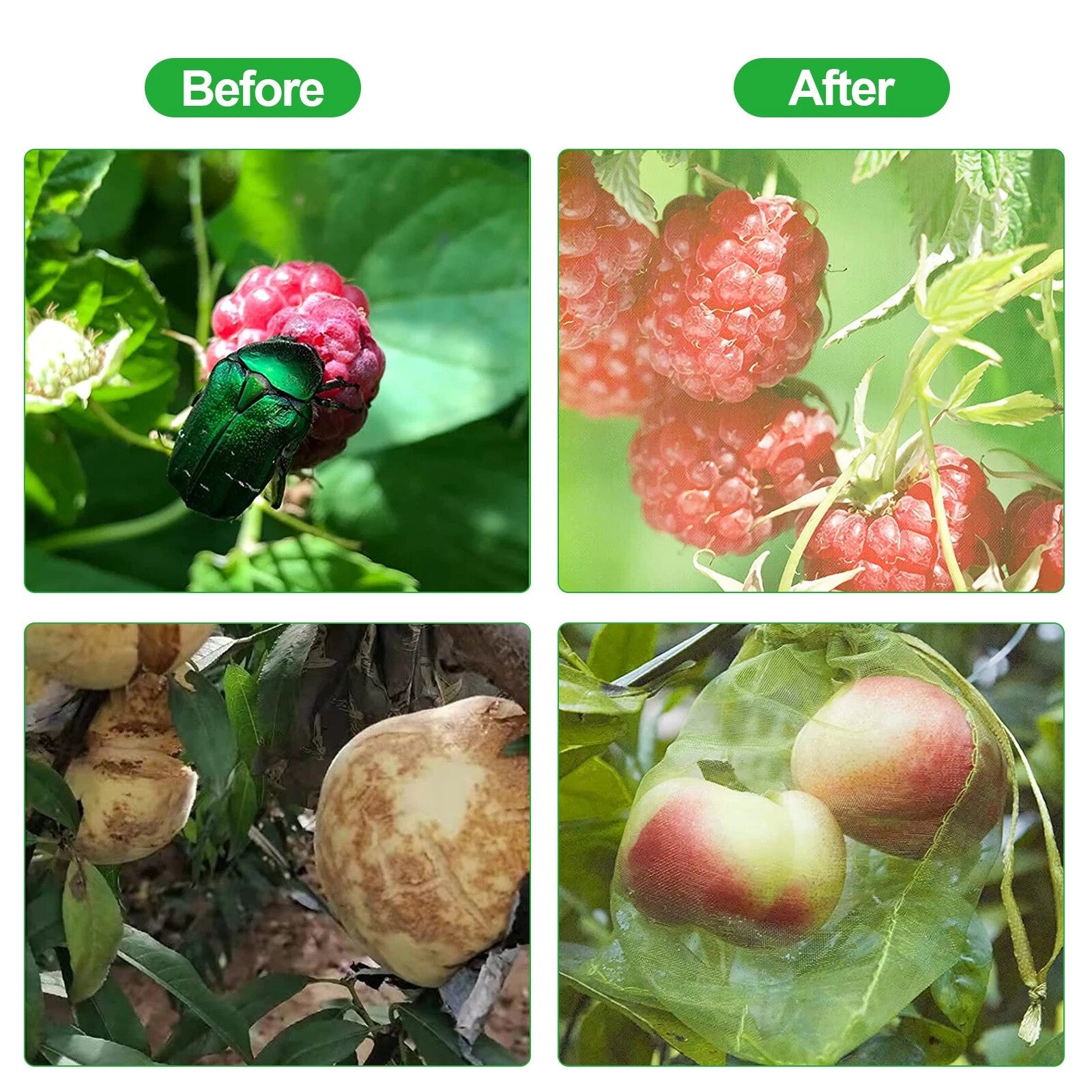 50PCS Vegetable Garden Fruit Protection Net Bags - Mesh Insect Proof Organza Bags 20x30cm