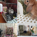 Rabbit Hay Feeder Corner Rack | Small Animal Hay Holder for Guinea Pig Hamster Cage