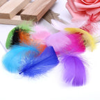 200pcs Natural Goose Feathers 6-12cm – Craft, Millinery, Wedding & DIY Decoration (11 Colours)