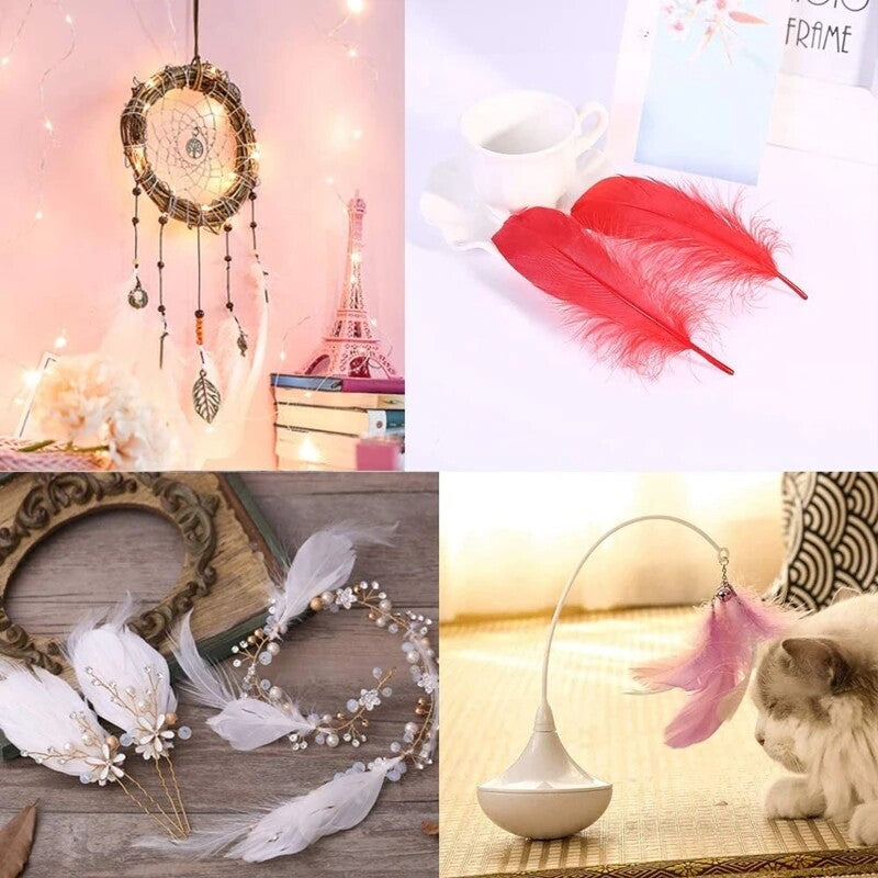 200pcs Natural Goose Feathers 6-12cm – Craft, Millinery, Wedding & DIY Decoration (11 Colours)