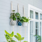 6PCS Macrame Plant Hanger Pot Holder - 100cm Cotton Rope Hanging Basket for Indoor Outdoor Planters