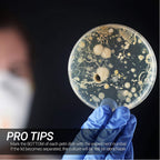 20pcs Plastic Petri Dishes with Lids 90mm x 15mm | Pre-Sterile Lab Culture Plates