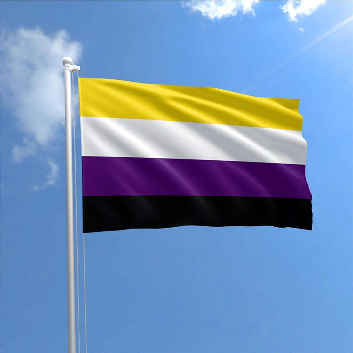 Three pack of non binary flags