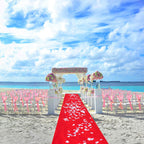 10M Red Carpet Aisle Runner 1.2m Wide | Wedding Party Event Awards Floor Mat