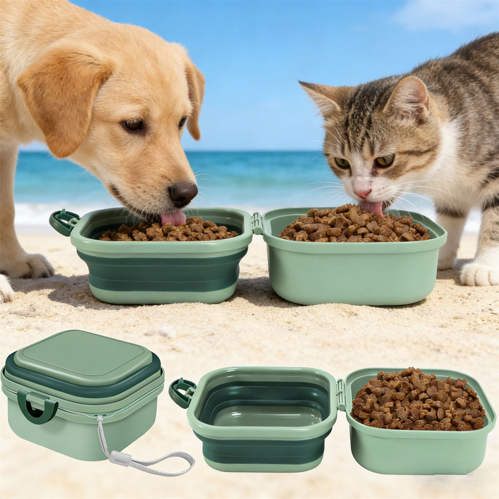 2pcs 2-in-1 Portable Pet Food & Water Bowl | Collapsible Travel Dog Cat Feeding Set