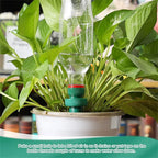 8PCS Self Watering Plant Spikes – Automatic Plant Watering System for Indoor & Garden Plants