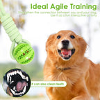 2 Set Interactive Dog Tug Toy Rope – Hanging Bungee Pull Toy for Indoor and Outdoor Play