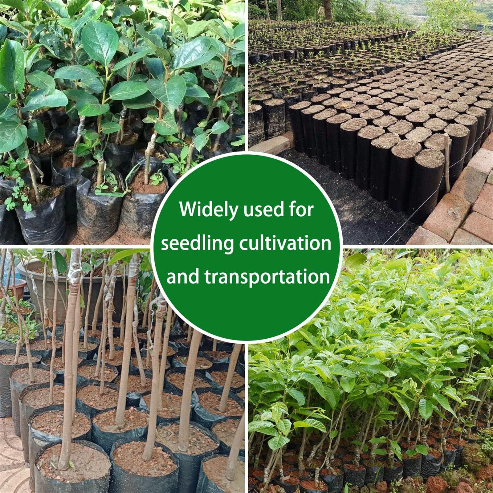300PCS Plant Grow Bags with Breathable Holes - PE Seedling Nursery Bags in 3 Sizes